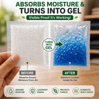 Moisture Absorber-Prevent Fungus, Dampness & Musty Odour - (Approx 5 gm x 40 Packets), White Color