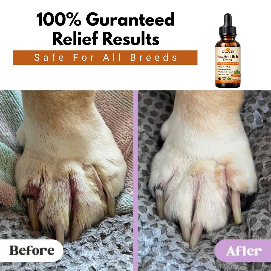 Paw Anti-Itch Drops - Fast Relief From Yeast Infection