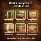 Termite Killer Spray | BUY 1 GET 2 FREE!