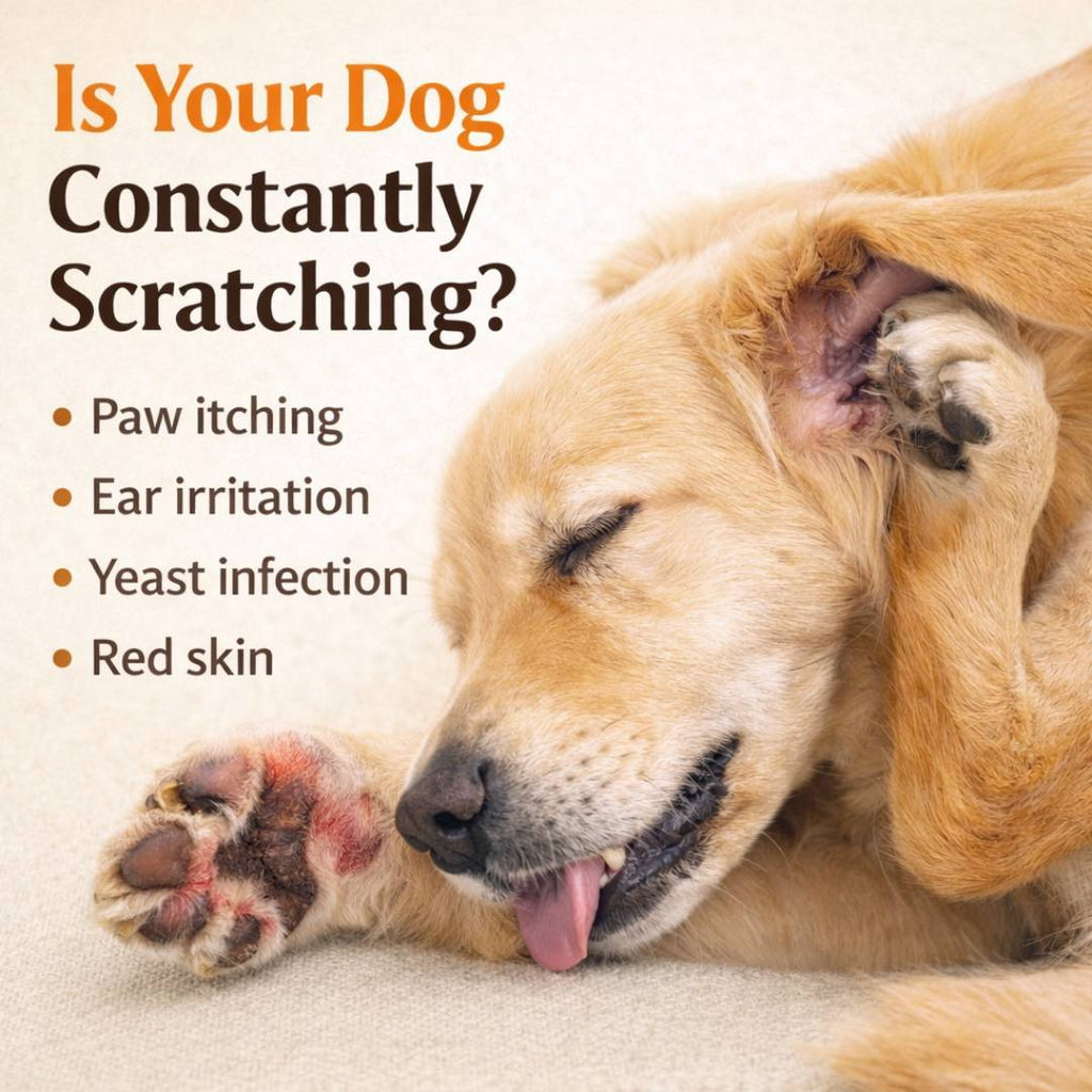 Paw Anti-Itch Drops - Fast Relief From Yeast Infection