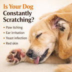 Paw Anti-Itch Drops - Fast Relief From Yeast Infection